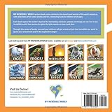 Squirrels!: A My Incredible World Picture Book (My Incredible World: Nature and Animal Picture Books for Children)