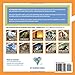Squirrels!: A My Incredible World Picture Book (My Incredible World: Nature and Animal Picture Books for Children)