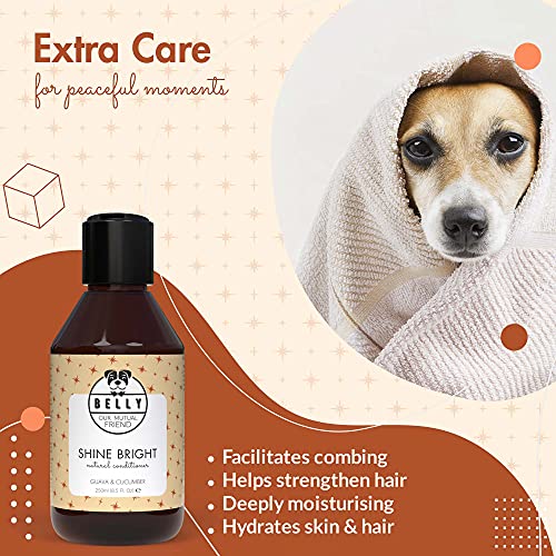 Belly - Veganer Hundeshampoo & Conditioner für Hunde - 250ml - Fellpflege, Hunde Conditioner gegen Geruch, Hundeshampoo für Langhaarhunde & Welpen