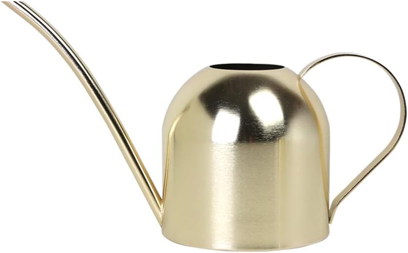 Stainless Steel Water Can for Indoor Plants and Garden (Gold 50 oz)