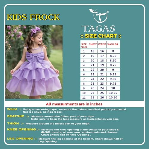 Image of Tagas Princess Girl's Dress Frock for Girls || Fancy Dress || Birthday Frock for Girl ||