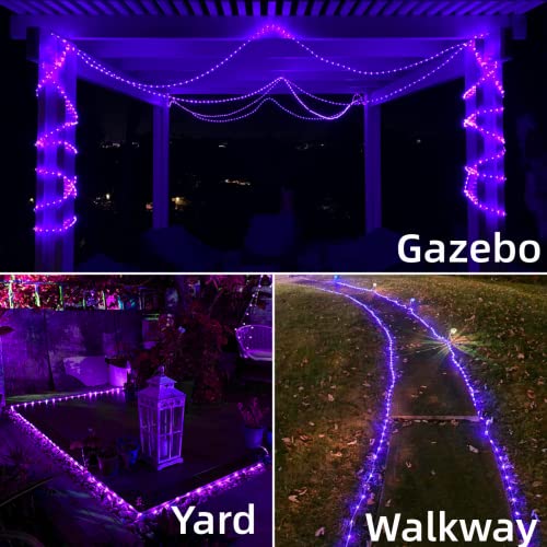 Yeguo Purple Solar Halloween Lights Outdoor, 2 Pack Each 33Ft 100 Led Rope Lights Waterproof, Pvc Tube Fairy String Lights With 8 Modes For Party Tree Garden Christmas Wedding Halloween Decor #TOP4