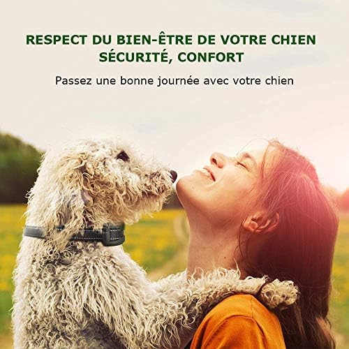Collier Anti-aboiement Chien - 3 Modes Choc Électrique/Vibration/Sensibilité Aide au Dressage Inoffensif Automatique IP65 Batterie Rechargeable Sangle Reflechissant Réglable pour Petit Gros Chien