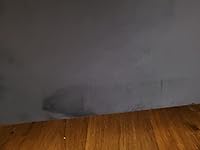 Review Image by Vaneese Lene Jamison Vaneese Lene Jamison