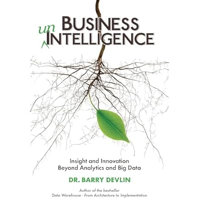 Business unIntelligence: Insight and Innovation beyond Analytics and Big Data: Insight & Innovation Beyond Analytics & Big Data