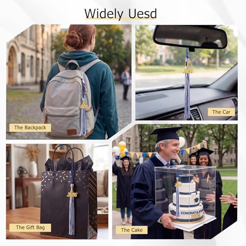 Image of GraduationMall Single&Multiple Color Graduation Tassel with 2026 Year Charm 9 inch