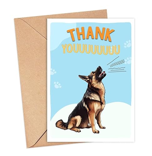 �W���[�}���V�F�p�[�h�h�b�O�J�[�h�A���̃T���L���[�J�[�h�A���킢���ʟ����̃T���L���[�J�[�h�A�ނւ̊��ӃJ�[�h�A�F�B�A�搶�A��i�A�����A���D���ւ̃M�t�g�A�b��t�̊��ӃM�t�g�A�W���[�}���V�F�p�[�h�����D�ƂɁB