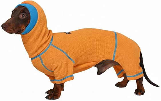 Dachshund Dog Turtleneck Sweater, Waffle Pullover Jumpsuit for mini Dachshunds, Soft 4-Leg Dog Pajamas, Snug Outfit for Long Body Breeds Orange, Small7-12lbs