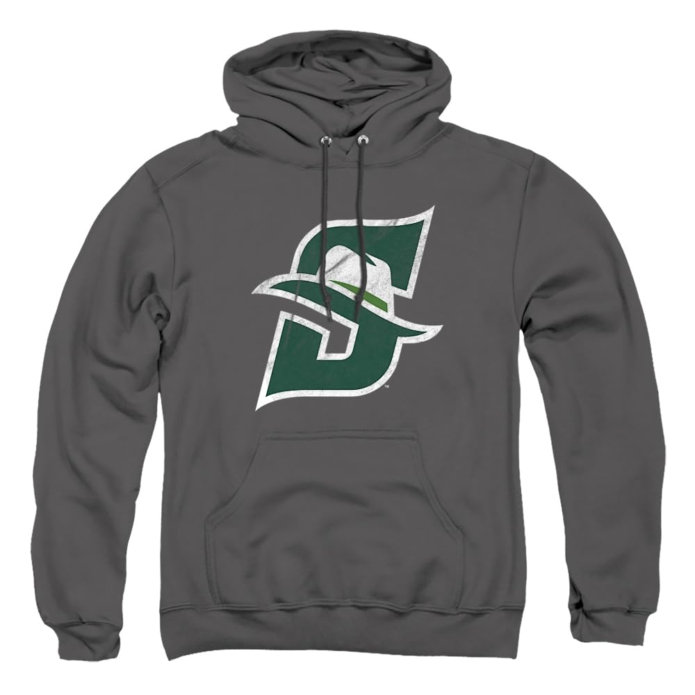 LOGOVISION Official Collegiate Distressed Primary Logo Adult Pullover Hoodie Collection — view 47