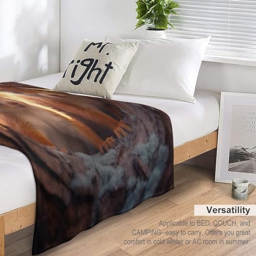 Plaid couverture écureuil très doux jeté flannel canapé lit - 7