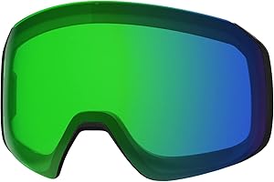 4D MAG S Smith Goggles Replacement Lens