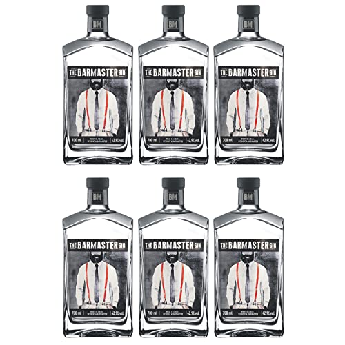 The Barmaster Gin I Versanel Paket (6 x 0,7l)