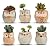 T4U Small Ceramic Succulent Planter Pots with Drainage Hole, Mini Flower Pots Indoor, Plant Lover Gifts for Women Mom Coworker for Birthday Christmas House Warming Home Office Decor