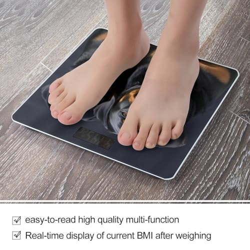 Báscula Digital para Cuerpo con Pantalla LCD y Cristal Templado miniatura 5
