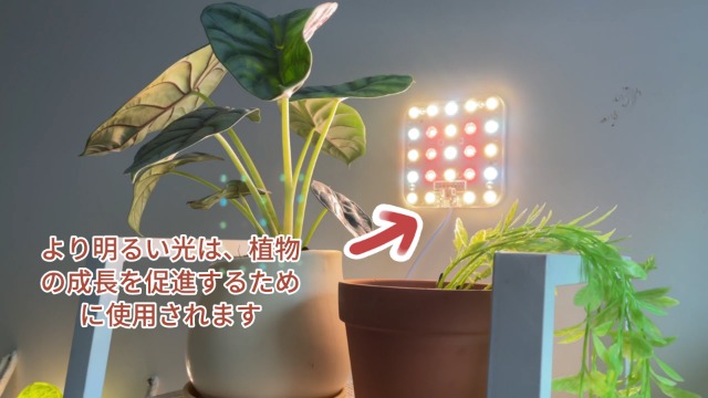 Amazon.co.jp: DOMMIA 植物育成ライト パネル型 粘着取付 フル