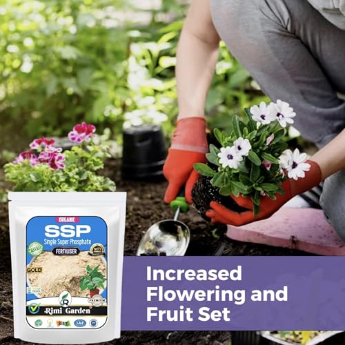 Image of Rimi Garden Ssp Single Super Phosphate, Essential Organic Fertilizer For Plant Growth With ++ Charged Growth Microbes(900 Gm), Powder