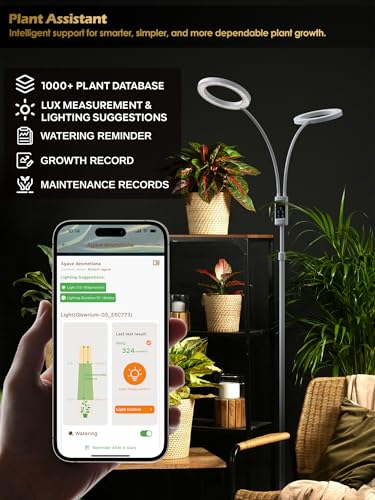 Image of Smart Grow Lights for Indoor Plants, Plant Light with Auto-Timer, Full Spectrum LED Grow Light, Adjustable Height & Stepless Dimming,Plant Assistant Suitable for Most Plants (White, Dual Heads)