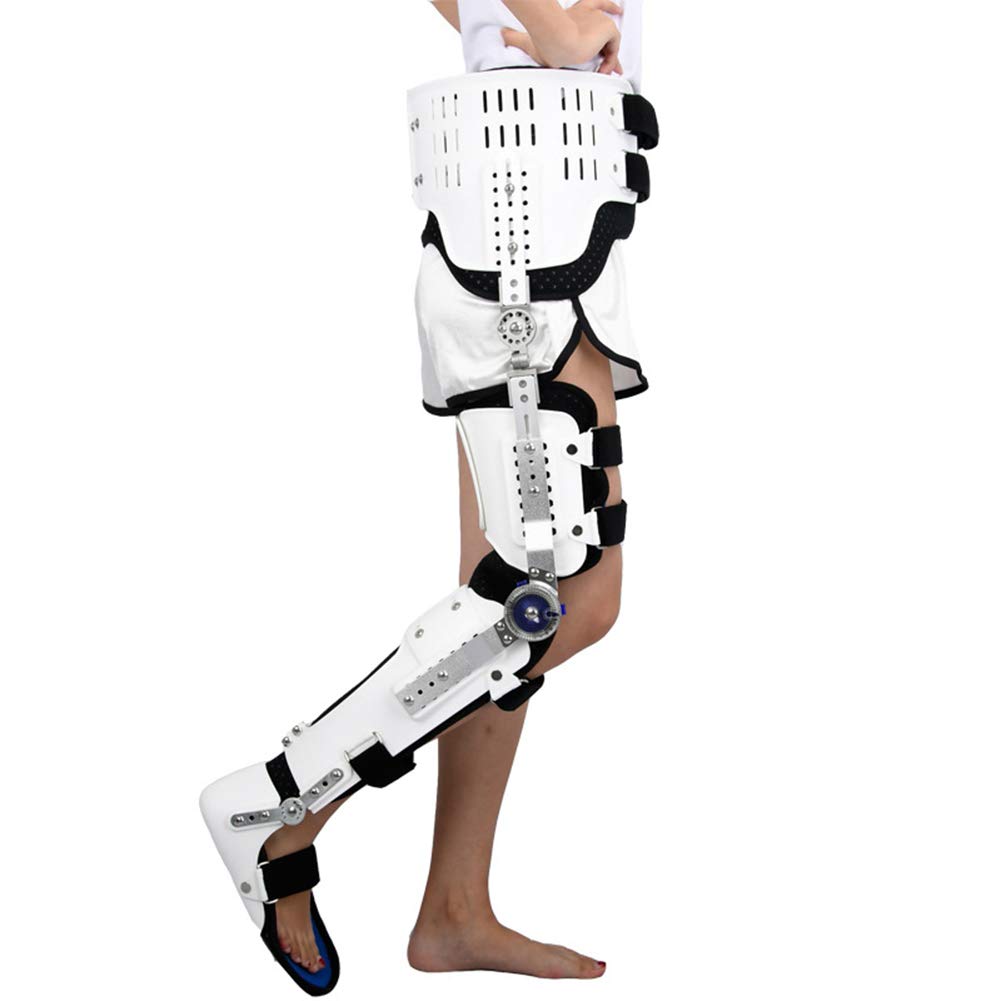 Buy FHSGG Hinged ROM Knee Hip Support Brace, Hip Knee Ankle Foot