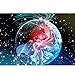 FFYUGO 12 Constellation Puzzles en Bois Adulte (520 Pieces) Verseau, Poissons, Bélier, Taureau, Gémeaux, Crabe, Lion, Vierge, Balance, Scorpion, Sagittaire, Capricorne, Casse-tête, Décoration,Scorpio