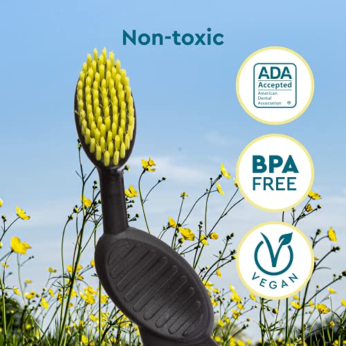 RADIUS Scuba Zahnbürste für die rechte Hand, verschiedene Farben, 6 Stück – Bild 7