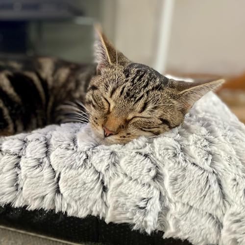 Petace Selbstheizende Decke Katze, Heizdecke für Katzen und Hunde,Haustier Wärmekissen für Innen- und Außenbereich, Anti-Slip selbstwärmende Heizmatte thermische Decke, 60×45 cm
