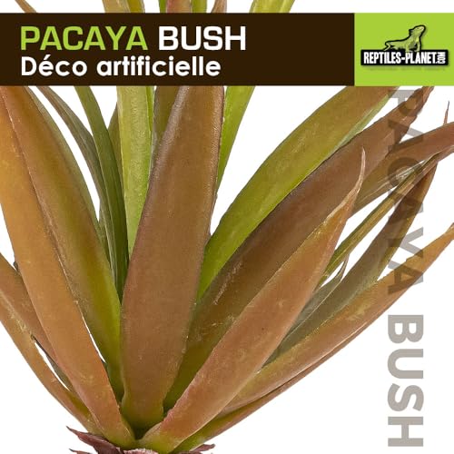 Reptiles Planet Pacaya Bush Künstliche Pflanze – Dekoration für Terrarium – 20 cm
