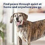 PetSafe Basic Bark Control Collar - Effective & Accurate Bark Detection Collar - Safe & Reliable Training with Multiple Static Stimulation Levels - Waterproof & Battery-Operated