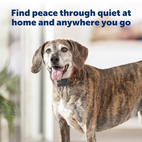 PetSafe Basic Bark Control Collar - image 4