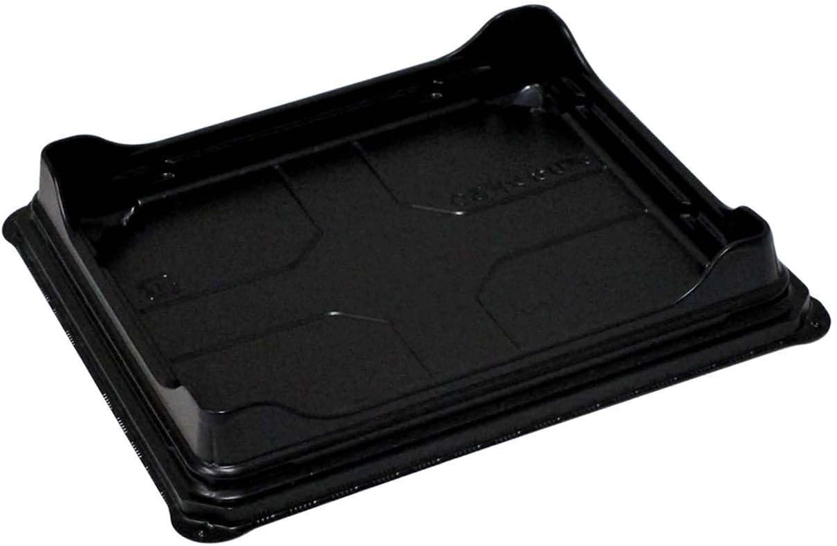 ゲストロテナガコガネ メス　オス　2匹セット ゲストロテナガコガネ メス オス 2匹セット