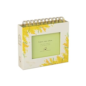 外国60枚　アルバム付き Amazon.co.jp: ナカバヤシ フレームケースアルバム リング式/L判