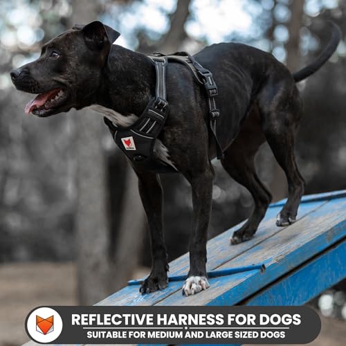 Image of Wooflix Heavy Duty Reflective Dog Harness for Medium Sized Breed Dogs - No Pull, No Choke Harness for Dog with Adjustable Chest Belt with Soft Padded Handle | Black - Size: Medium (10kg to 22kg Dog)