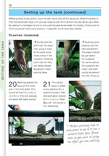 Freshwater Aquariums (CompanionHouse Books) Essential Beginner-Friendly Guide to Setting Up Your Tank, Filtration, Health, Fish, Plants, Substrates, Lighting, and More (Aquamaster) - Image 8