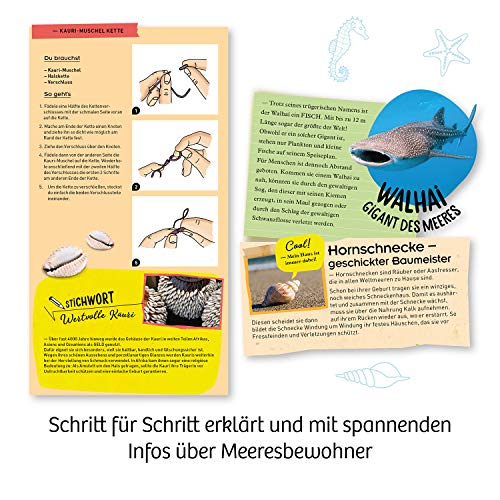 KOSMOS 658038 Meeres-Abenteuer, Grabe die Tiere aus dem versteinerten Meer frei. Mit Muschel-Kettenanhänger, Experimentierset für Kinder ab 7-10 Jahre, Deko, Schmuck, Mitbringsel, kleines Geschenk – Bild 6