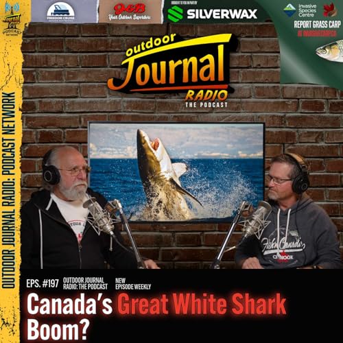 Page de couverture de Episode 197: The Great White Shark Boom - What&rsquo;s Happening in Atlantic Canada
