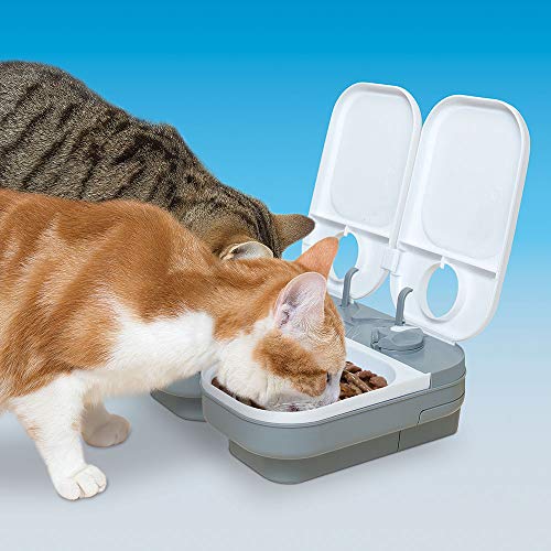 Cat Mate C200 2 Meal Automatic Pet Feeder for Cats & Small Dogs with