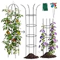 100% Metal Obelisk Garden Trellis 6.6 Feet Tall Sturdy Plant Support for Climbing Vines and Flowers Stands,1pc Upgrade Round Trellis for Pots Metal Plant Flower Trellises for Clematis Jasmine Outdoor