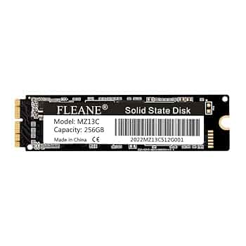 Amazon.com: FLEANE MZ13C 256GB SSD Replacement for MacBook