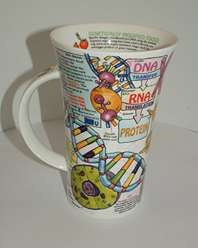Taza Dunoon Glencoe Fine China 500 ml miniatura 3