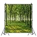 AOFOTO 6x6ft Spring Forest Trees Backdrops for YouTube Videos Nature Country Grass Ground Photography Studio Props Natural Scenery Green Woods Background Girl Boy Adult Art Portrait Photo Shoot Vinyl