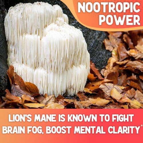 Image of XPRS Nutra Fungi Fusion Mushroom Blend Capsules - 180 Count (90 Day Supply) Premium Blend of Lion's Mane, Reishi, Chaga, Cordyceps Capsules to Support Mental Clarity, Cognition, Energy and Immunity