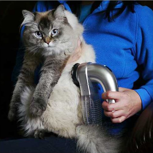 Pet Shaver Cats Dogs Grooming Tool by Bulbul