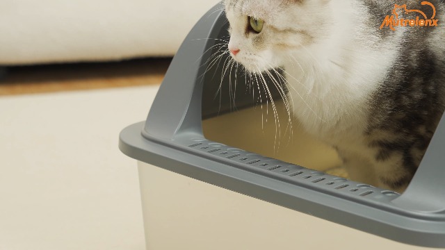 Rated 4.9 out of 5 stars from 16 reviews - image 8