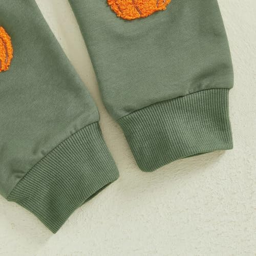Toddler 2 Piece Jogging Set Cute Pumpkin Dinosaur Hoodies+straight Sweatpants Baby Boys Fleece Warm Sweatsuits Outfits4