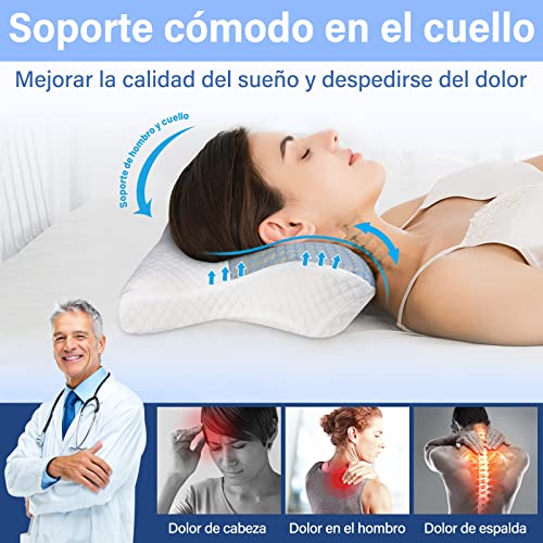 Reviews y listado de Almohada ortopedica para el cuello Top cinco. 9 Reviews y listado de Almohada ortopedica para el cuello Top cinco. 7