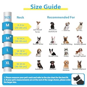 BARKLESS-Dog-Cone-Collar-Dog-Donut-Collar-After-Surgery-to-Stop-Licking-Inflatable-Dog-Cone-with-Sturdy-Shield-for-Large-Medium-Dogs-Cone-of-Shame-Alternatives-Not-Block-Vision - Cucciolini Doodles   BARKLESS-Dog-Cone-Collar-Dog-Donut-Collar-After-Surgery-to-Stop-Licking-Inflatable-Dog-Cone-with-Sturdy-Shield-for-Large-Medium-Dogs-Cone-of-Shame-Alternatives-Not-Block-Vision