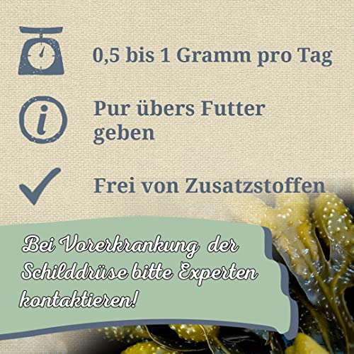 Krauterie Ascophyllum nodosum Hund, Einzelfuttermittel für Hunde (100 g), Seealgenmehl Kelp Pulver in Spitzenqualität