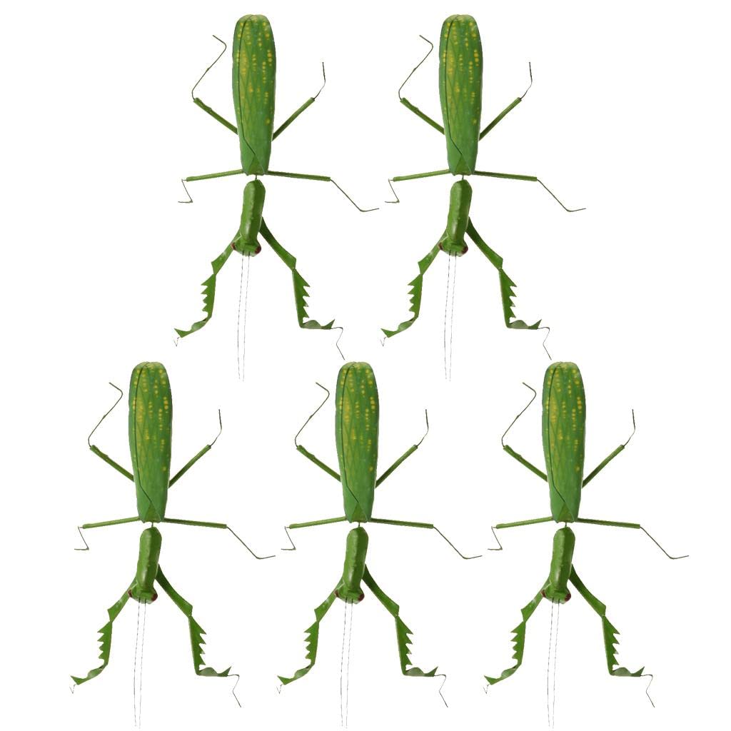 Modèle d'insecte artificiel mante en coffret de 5 pièces à offrir aux petits naturalistes