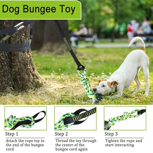 TUAHOO Bungee-Ziehspielzeug für Hunde, Outdoor Hundespielzeug zum Aufhängen mit 2 Kauseilen, Interaktives Tau Spielzeug Hunde Seil für Training Ziehen