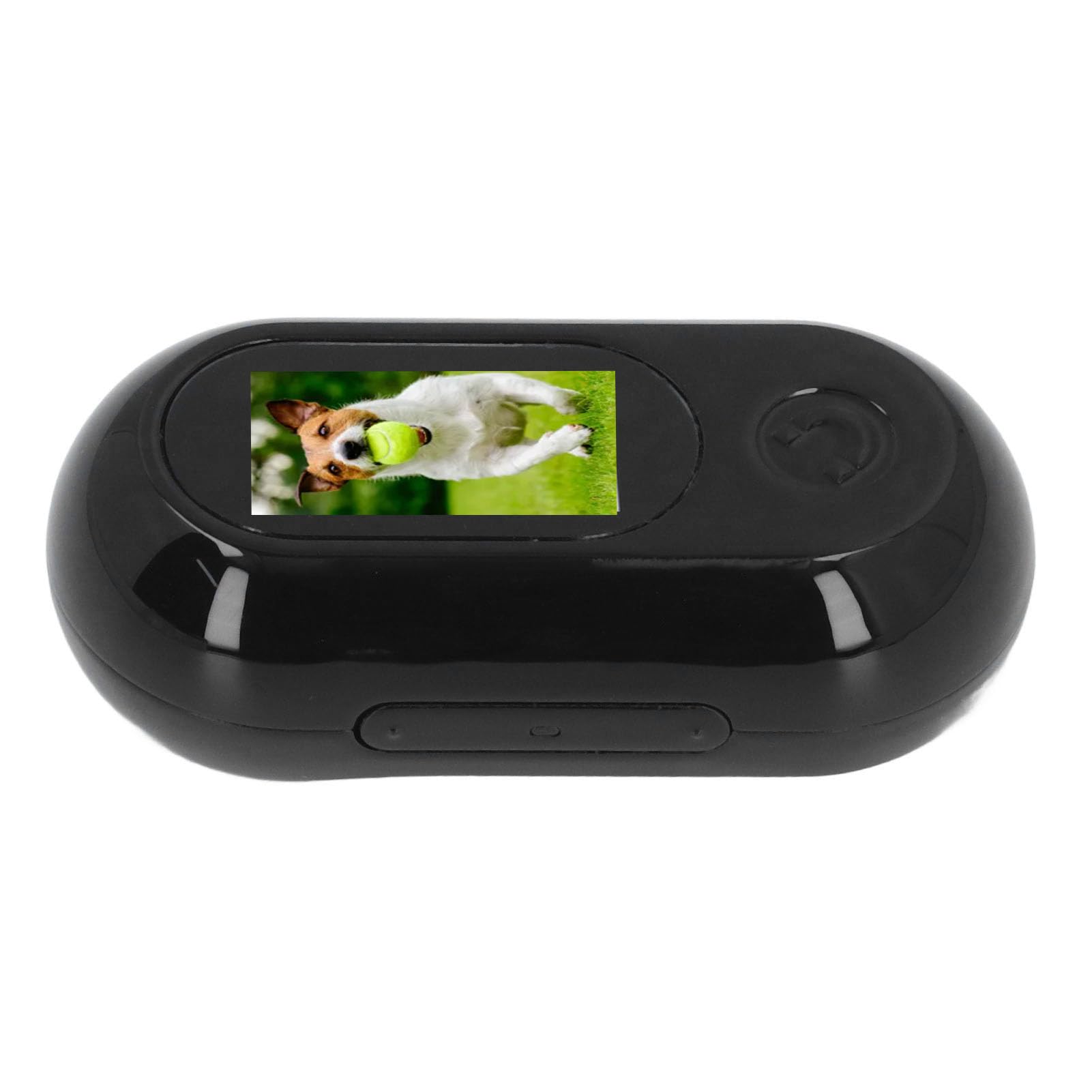 Fockety Collare per Fotocamera per Gatti, Telecamera per Collare per Cani Wireless HD 1080P con Registrazioni Video, Mini Telecamera per Corpo Senza WiFi, Telecamera per Azioni Sportive