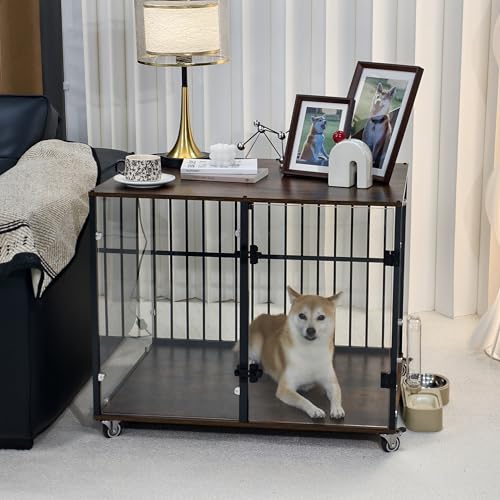 BingoPaw  P[W t ybgP[W L ^   傫 ؐ LX^[t NA 